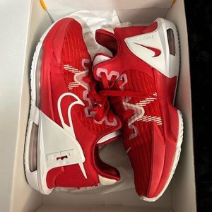 Used Lebron Witness VI TB